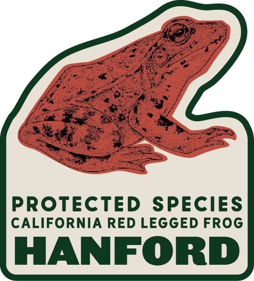 ProtectedSpecies__Red Frog.png