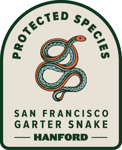 ProtectedSpecies__Garter Snake.png