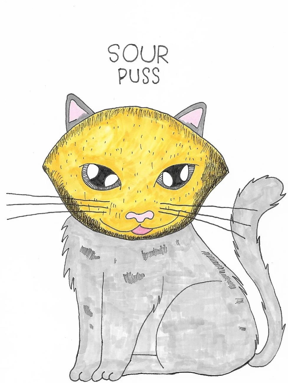 sour puss.jpg