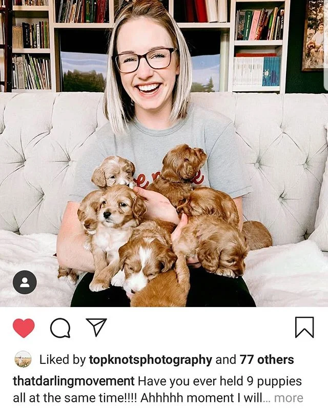Our amazing photographer Hannah! Takes all our professional shots, and loves getting in her puppy snuggles! @topknotsphotography .
.
.
.
.
.
.
.
.
.
.
.
.
#pdxlabradoodles #puppiesforsale #puppies #labradoodlenation #labradoodlepuppies #dogsofinstagram #dogpile #labradoodlesofinstagram #puppylove #doodlelove #doodling #australianlabradoodle #miniatureaustralianlabradoodle #labradoodlesofinsta #labradoodle #puppiesofinstagram #snuggle #sustainablebreeding #healthtested #healthguarantee #nonshedding #hypoallergenic #newbornpuppies #photographer