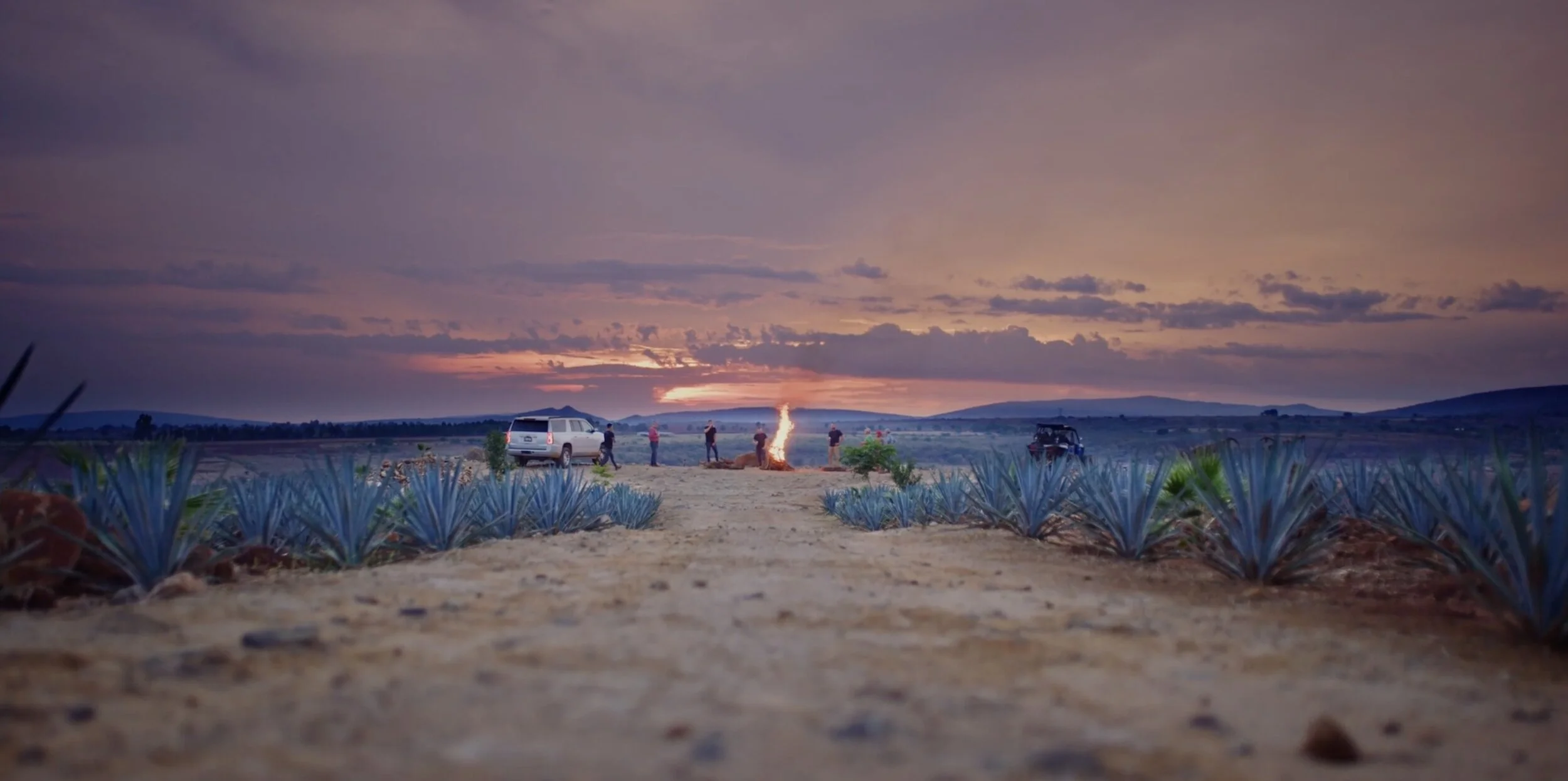 Volando - ACS Gold and National Distinction