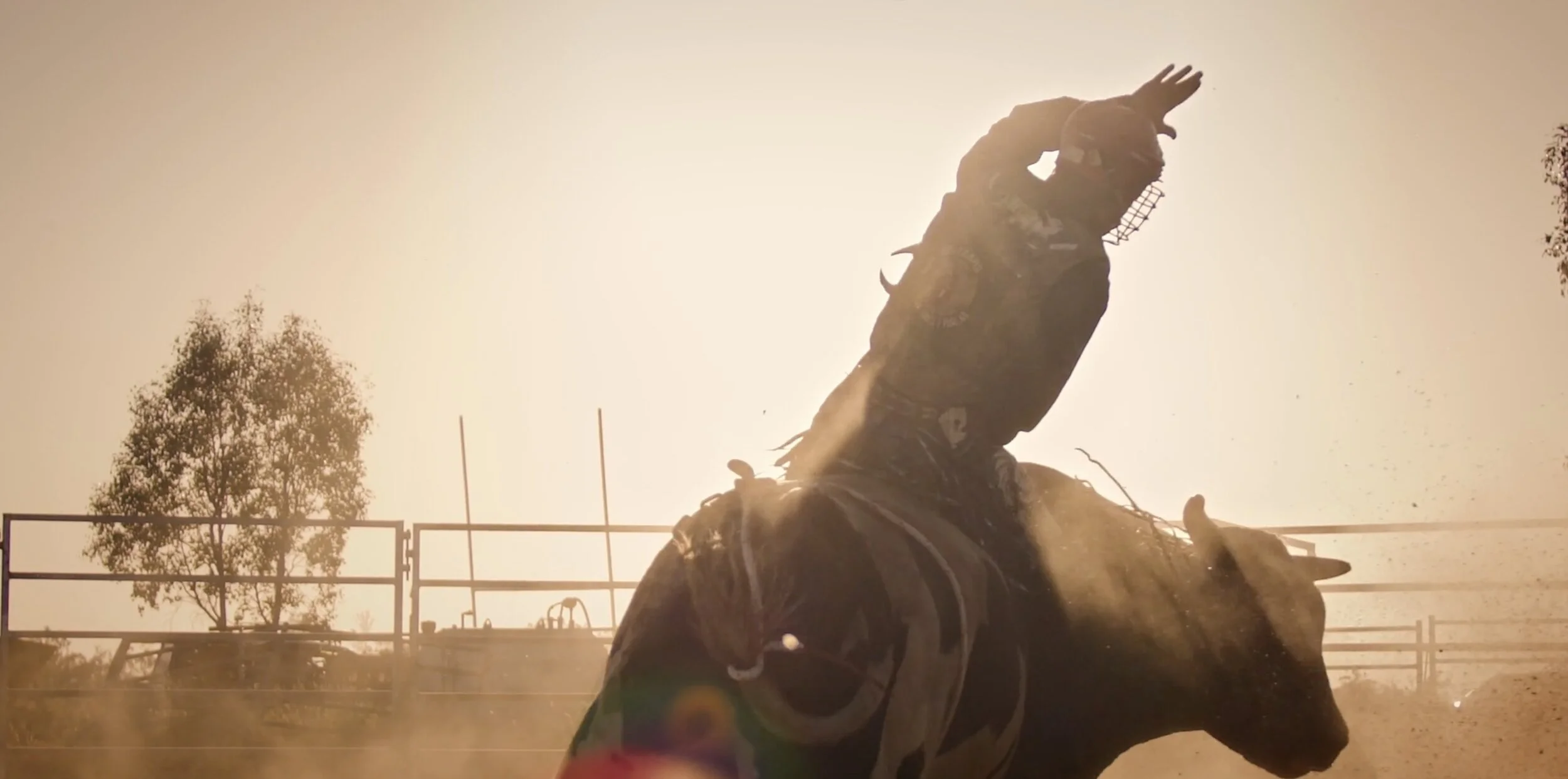 Clermont For Doctors - ACS Gold Award