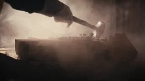 The Life of a Viper - ACS Gold Award