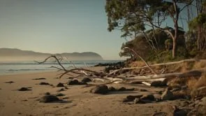 Phil's Place - Bruny Island