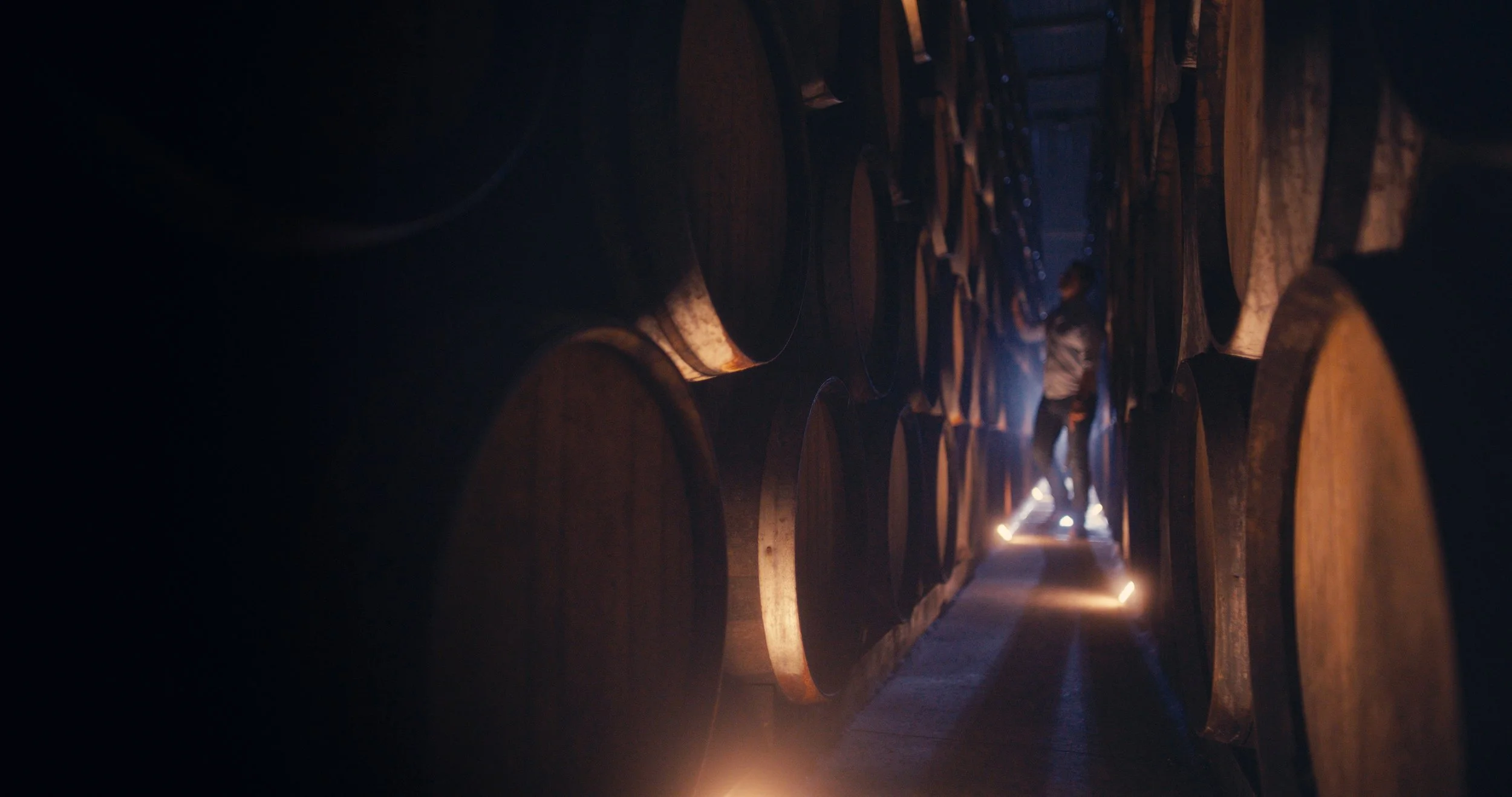 Penta Tequila - Método Penta Quintaesencia