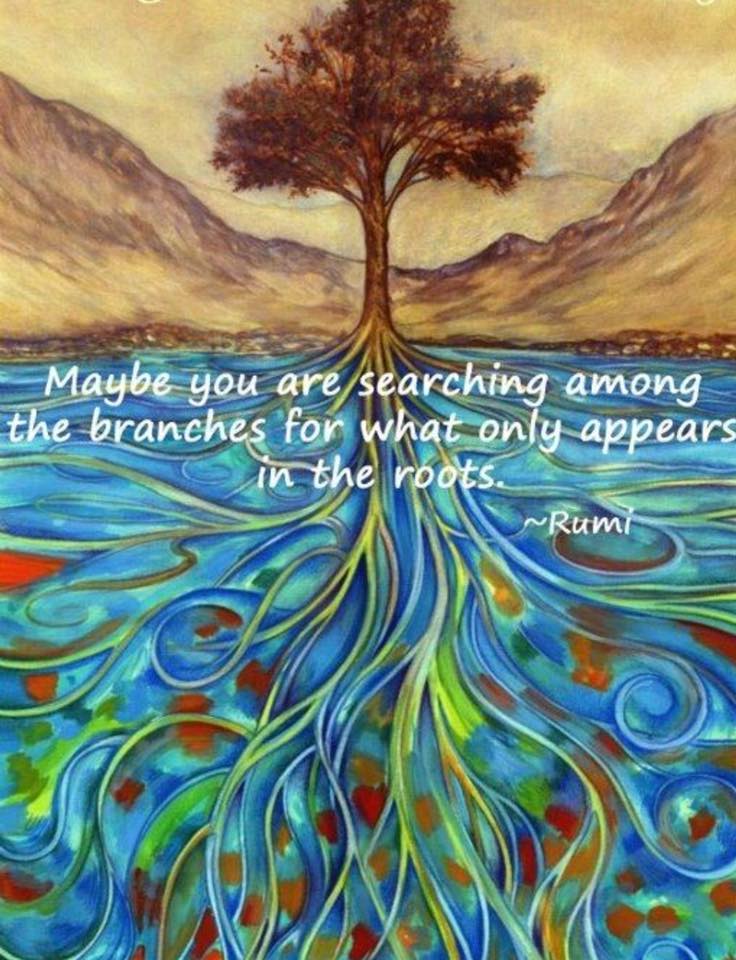 rumi quote- Searching among the branches for what only appears in the roots.jpg