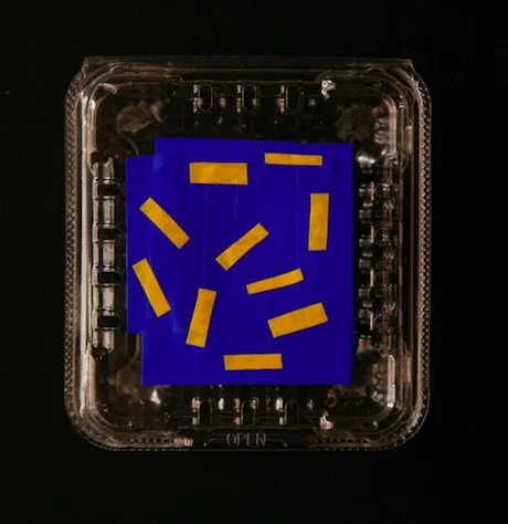 Lily Golightly_Blueberries_2017_found materials_dimensions variable_Image courtesy_of_the_artist_460pxls.jpg