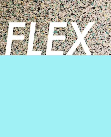 FLEX_ED.jpg