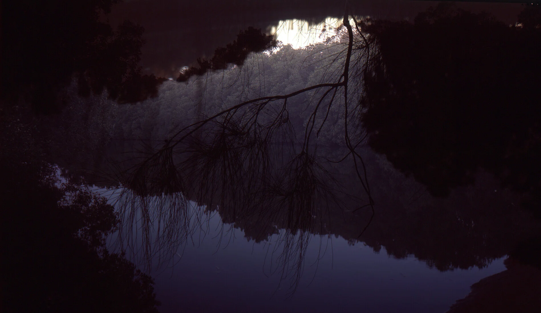 Down by the river #1.jpg