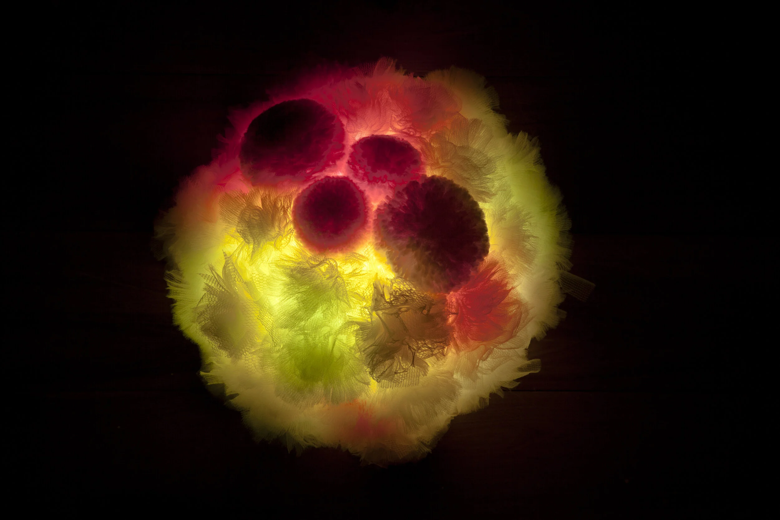 1 Mad Honey_Karen Golland.jpg