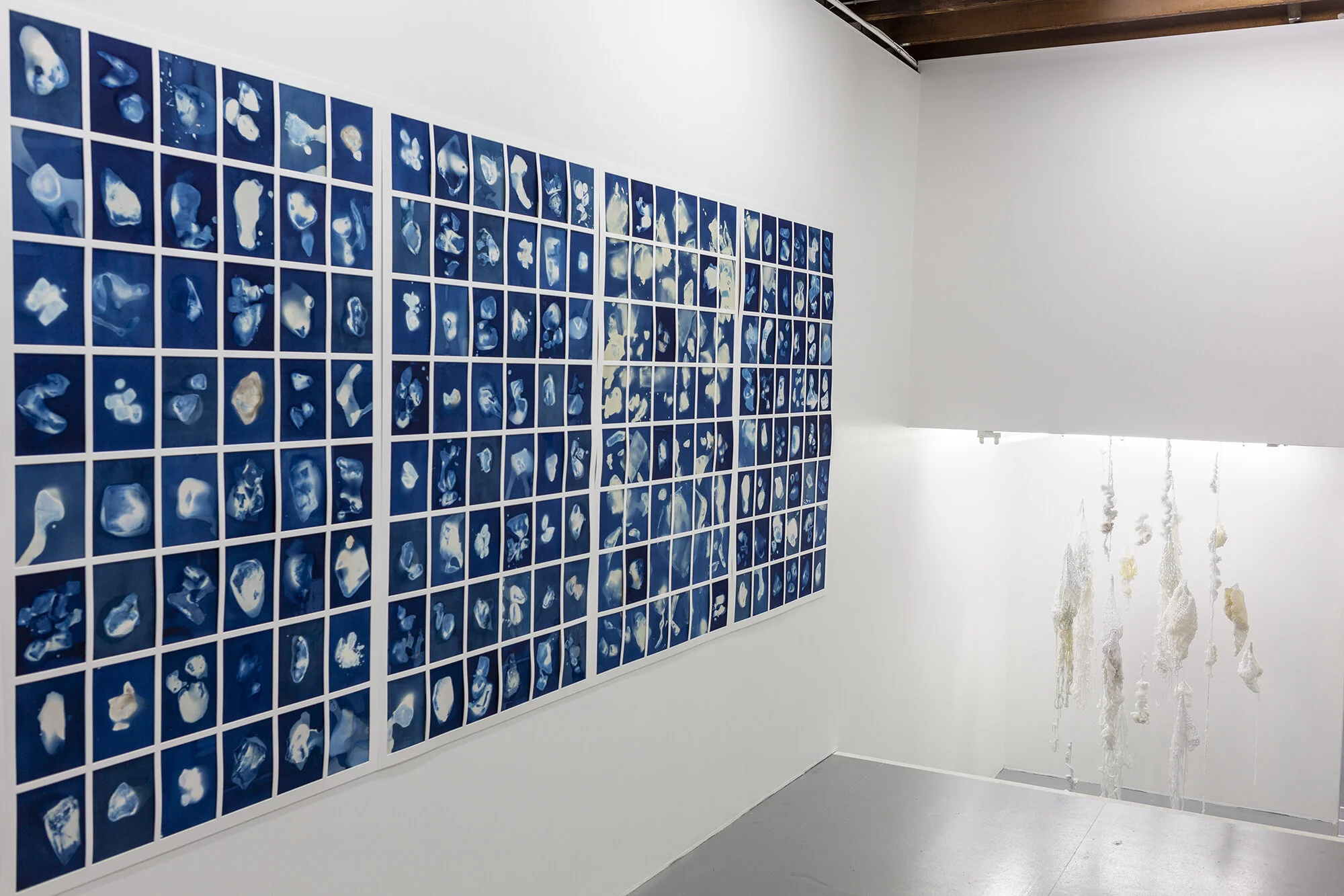 Photo: Yiorgo Yiannopoulos