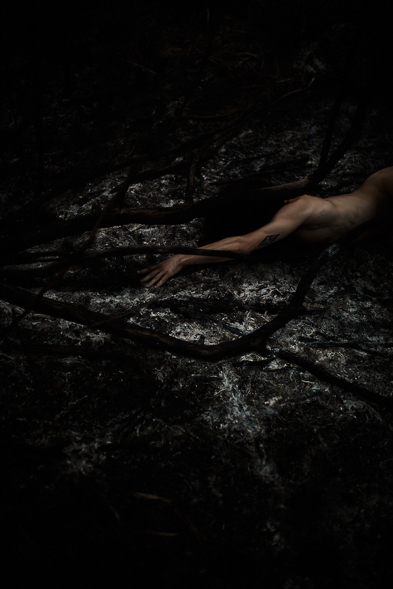 lorimer rose walker.JPG