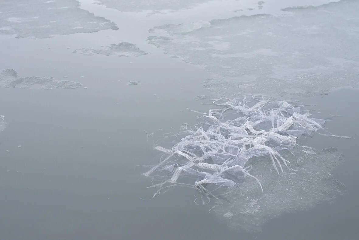 Rachel Honnery - Fake Ice 01.jpg