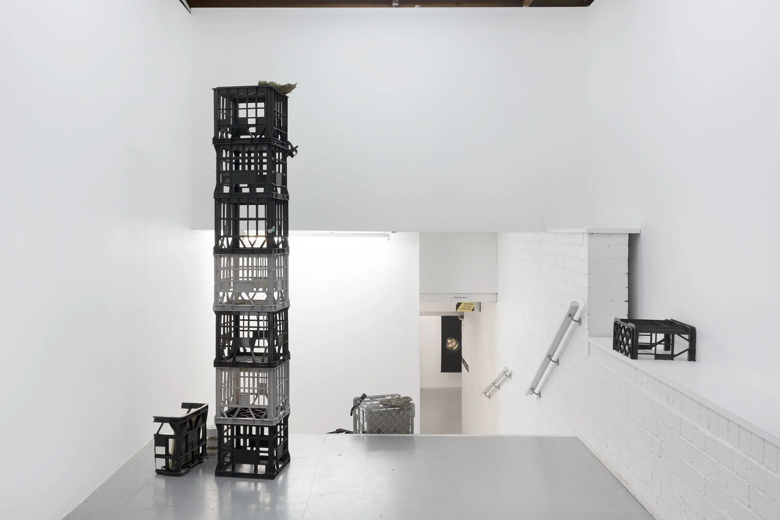 GRETA WALLACE-CRABBE MILLER