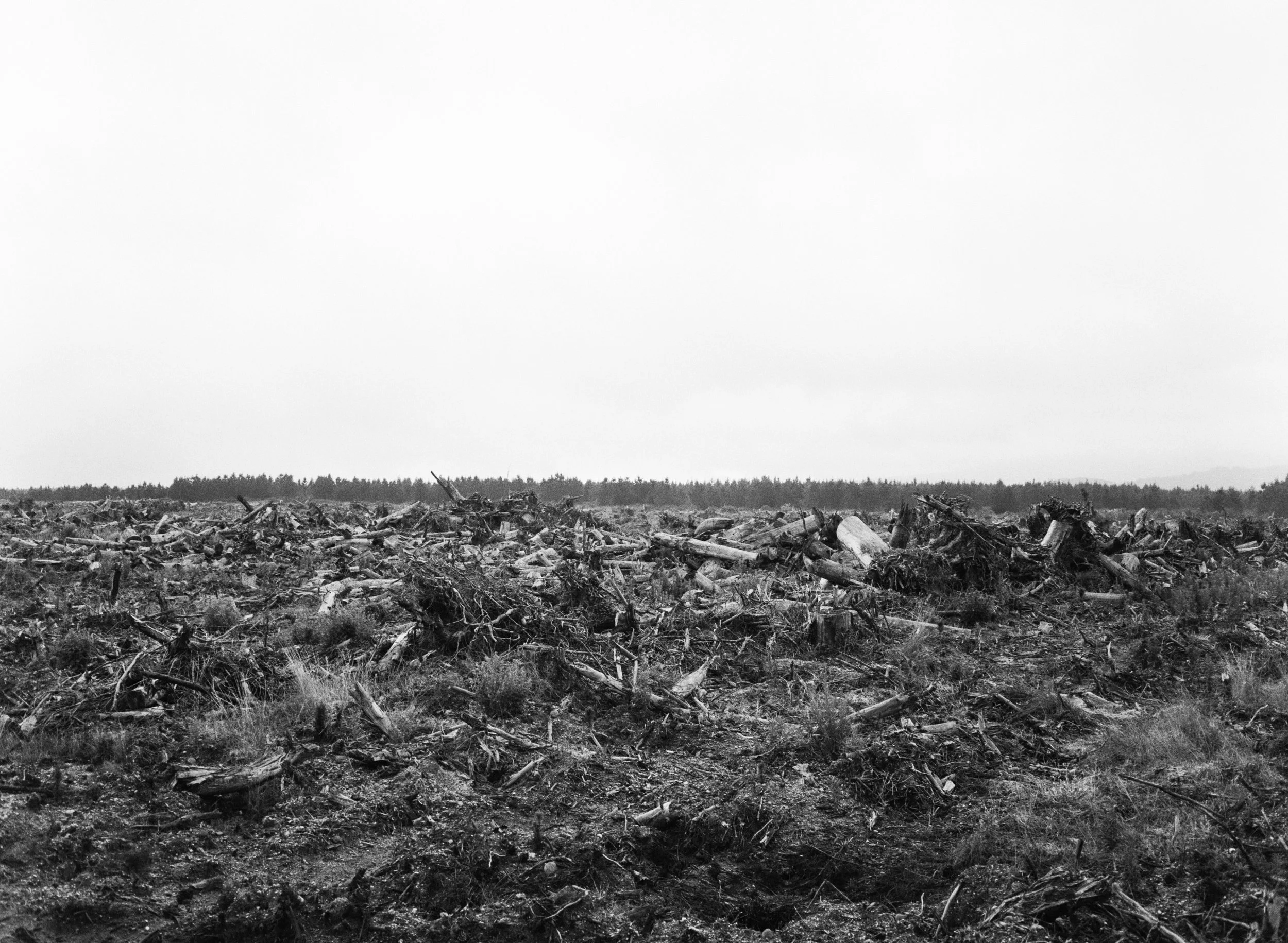 ALANNAH DAIR, MEADOWBROOK OW AND ZARNI KUNIEAD TUN