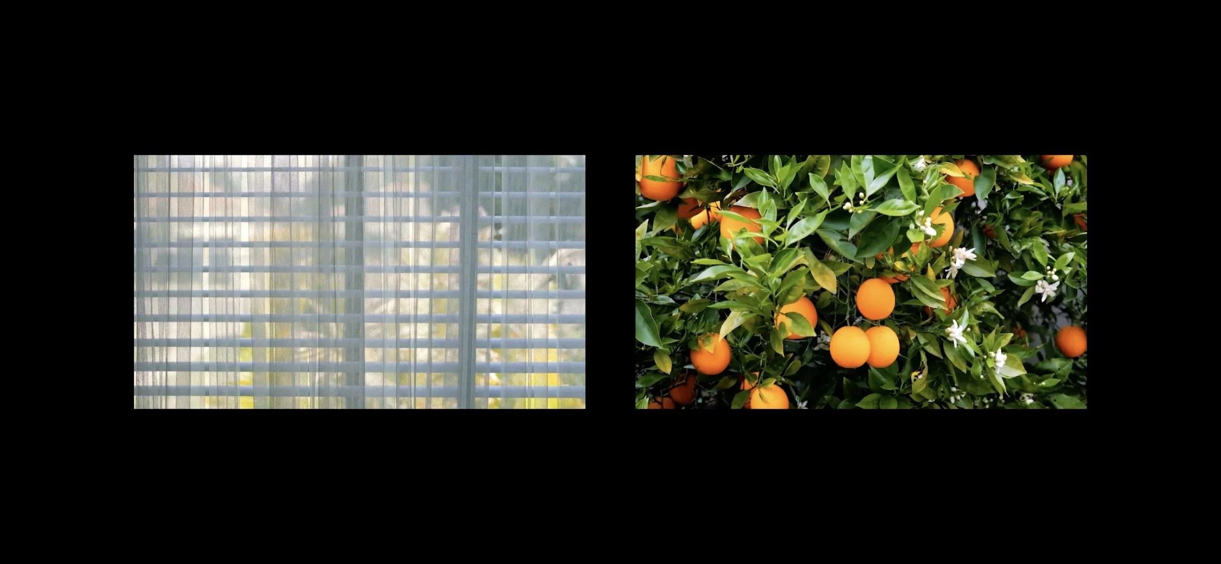 ZARNI KUNIEAD TUN AND MEADOWBROOK OW