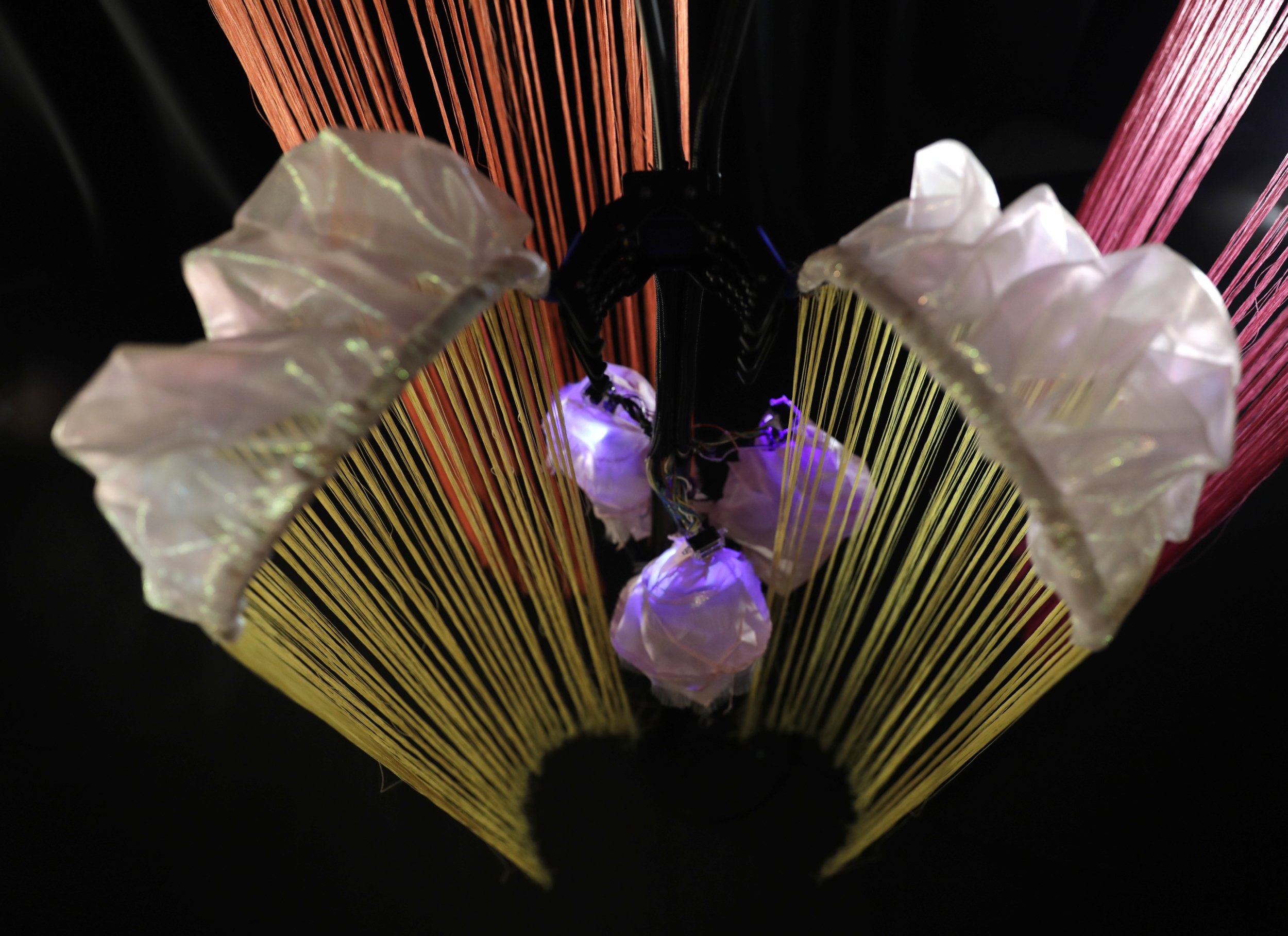 GISELLE PENN AND MARÍLIA BERGAMO