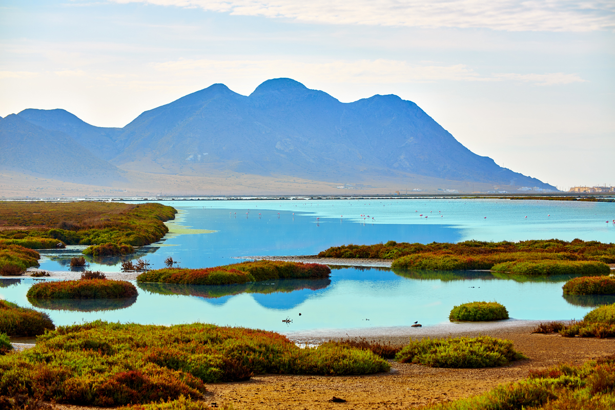 Salinas de Cabo de Gata (Almería)