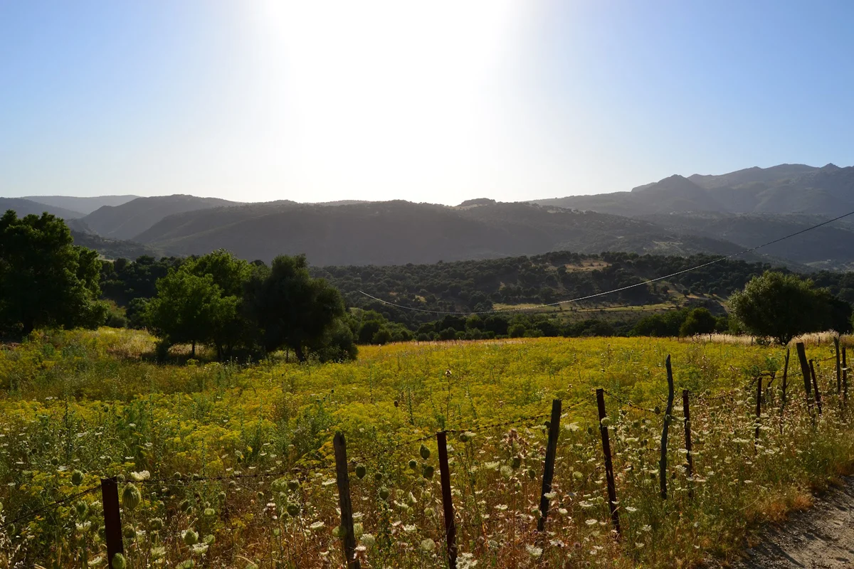Ruta fotográfica por la Serranía de Ronda