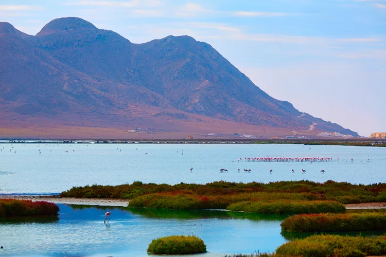 Parque Natural de Cabo de Gata (Almería) - Salinas.