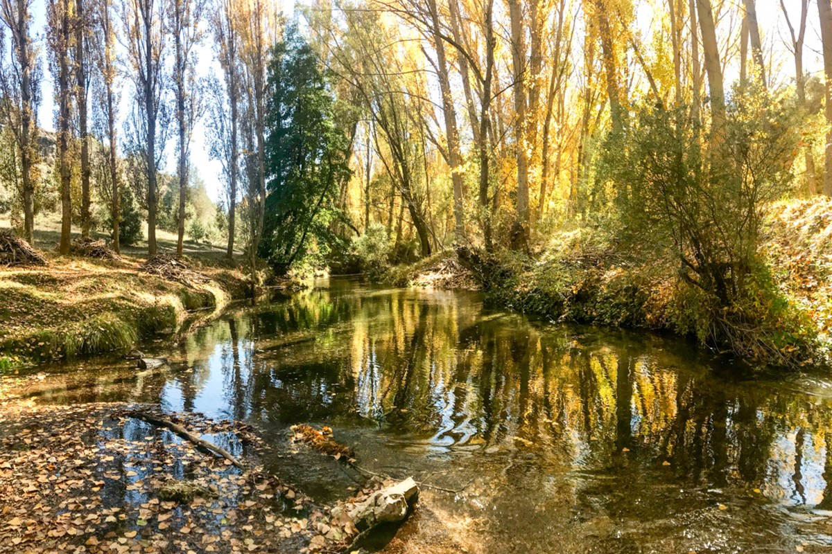 Hoces del río Duratón (Segovia)
