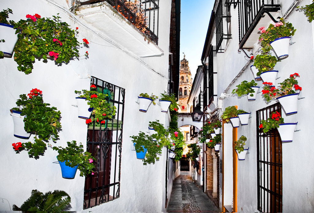 Qué ver en Córdoba - Calleja de las Flores