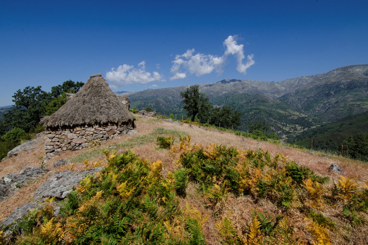 Candeleda (Ávila) - Majada de Braguillas