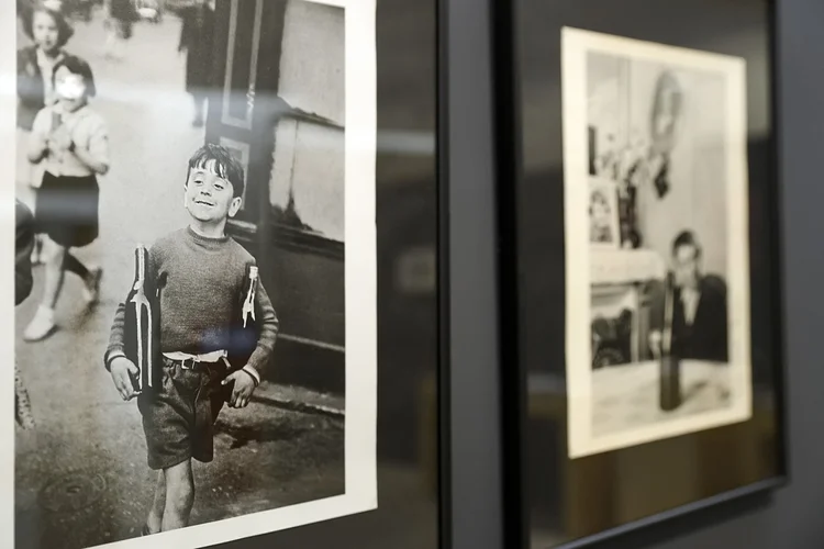 5 planes en La Rioja - Vivanco