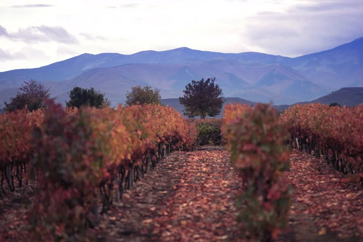 5 planes en La Rioja - Disfrutar del paisaje practicando senderismo o bicicleta