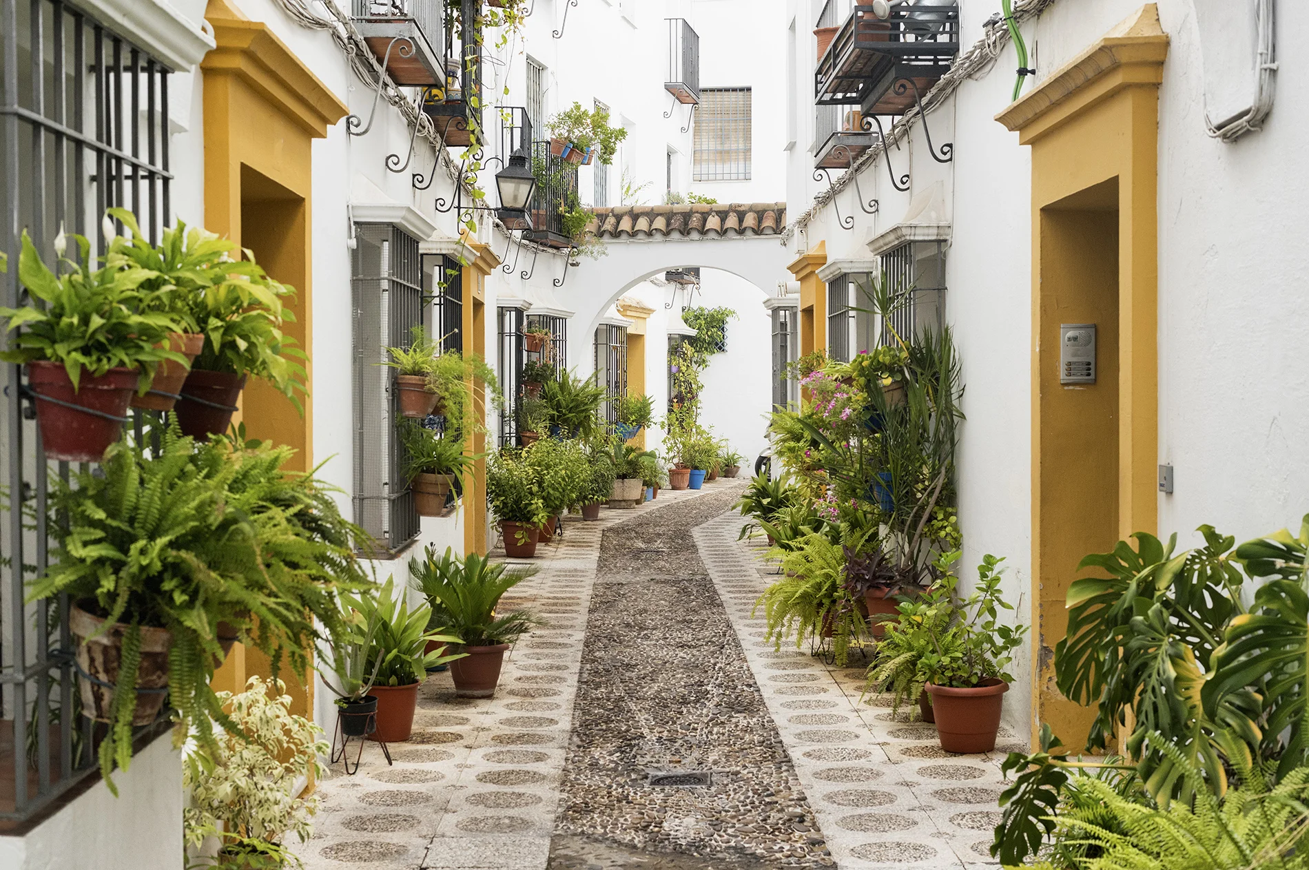 Qué ver en Córdoba - La Judería | Foto: Claudio Giovanni Colombo | Dreamstime.com