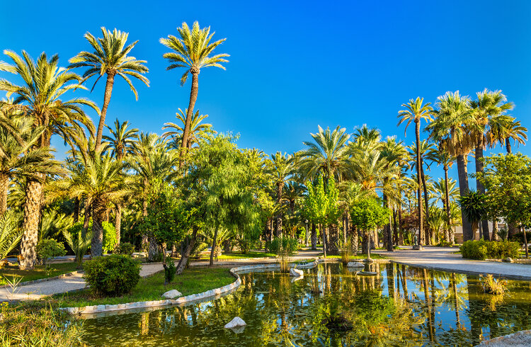 Patrimonio de la Humanidad en España: Palmeral de Elche