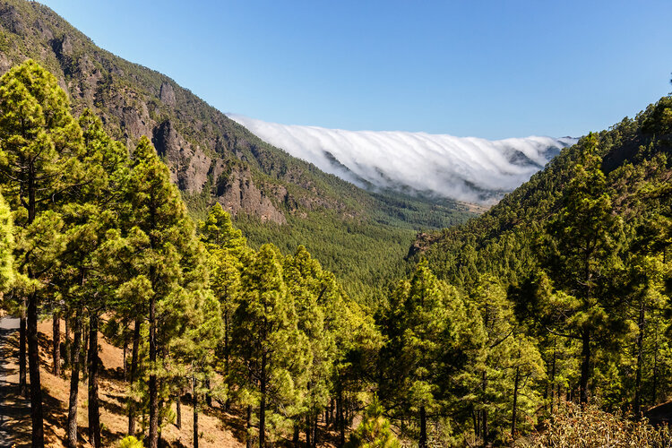 Los 15 Parques Nacionales de España - Caldera de Taburiente (La Palma) | Foto: Dreamstime