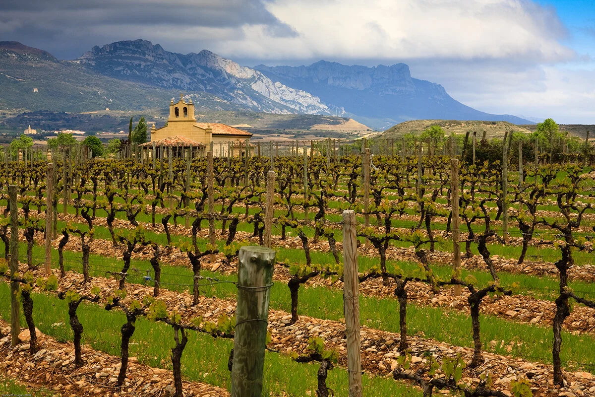 Viñedos de La Rioja