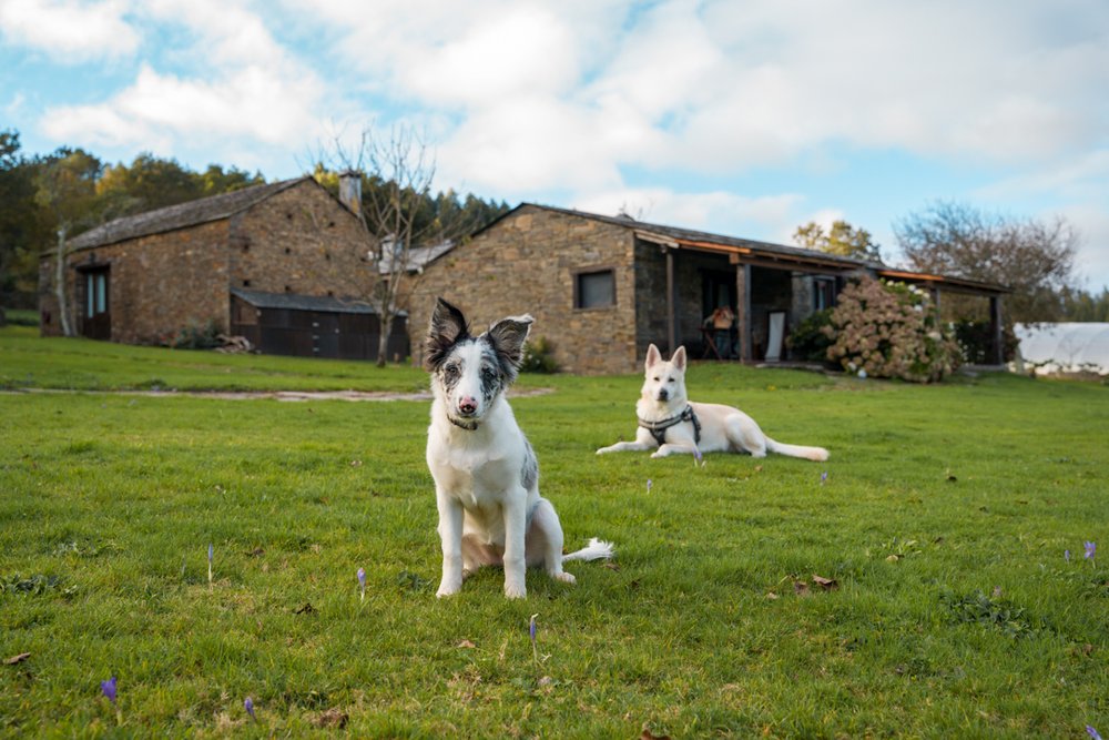 casas-do-campo-galicia-2.jpg