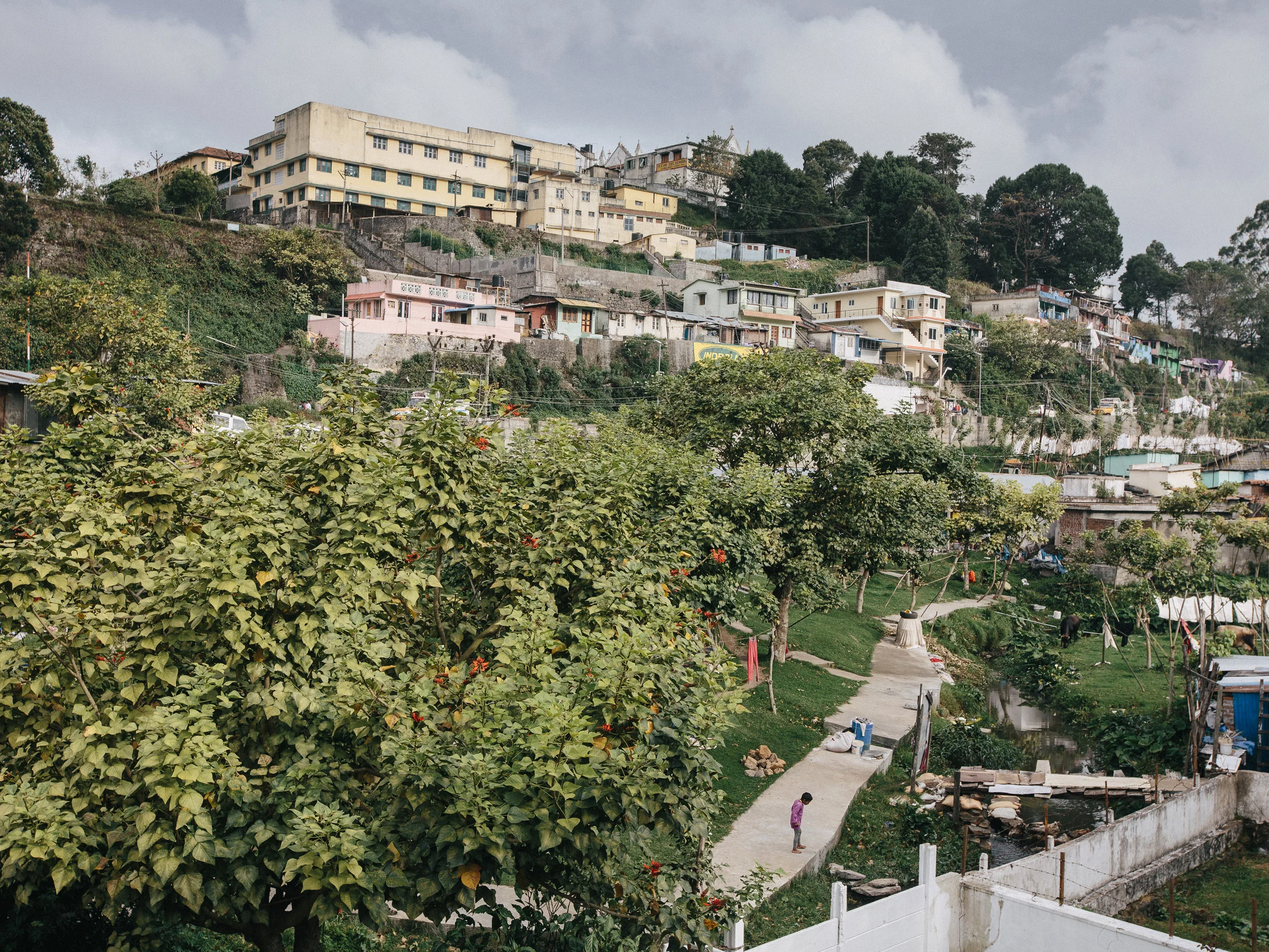  Kodaikanal. Tamil Nadu, India. 