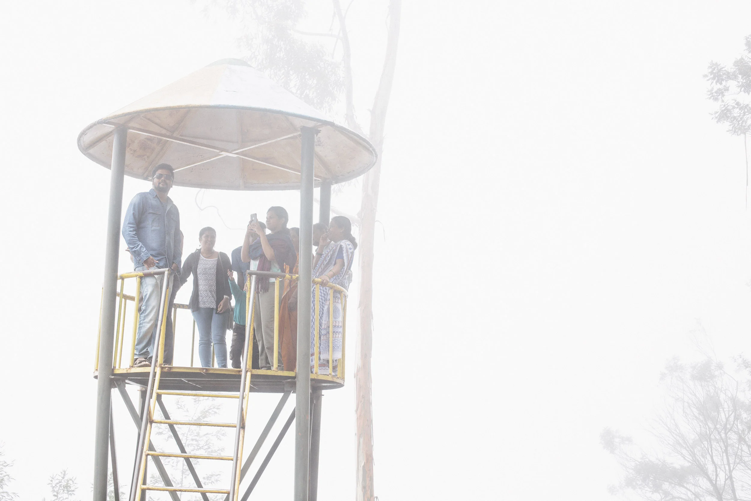  Elevated viewing platform inside the misty Silent Valley of Kodaikanal National Forest.&nbsp; 