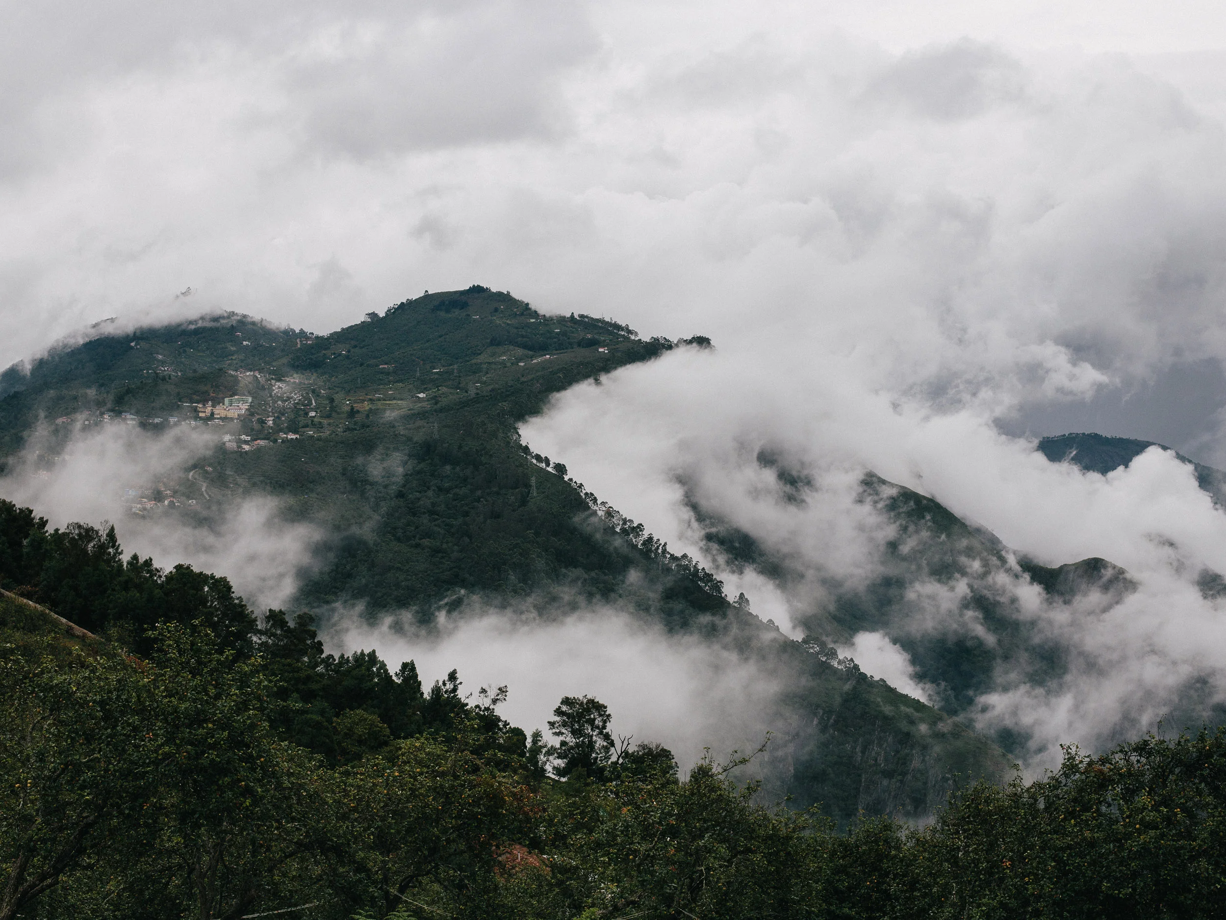  Kodaikanal. Tamil Nadu, India. 