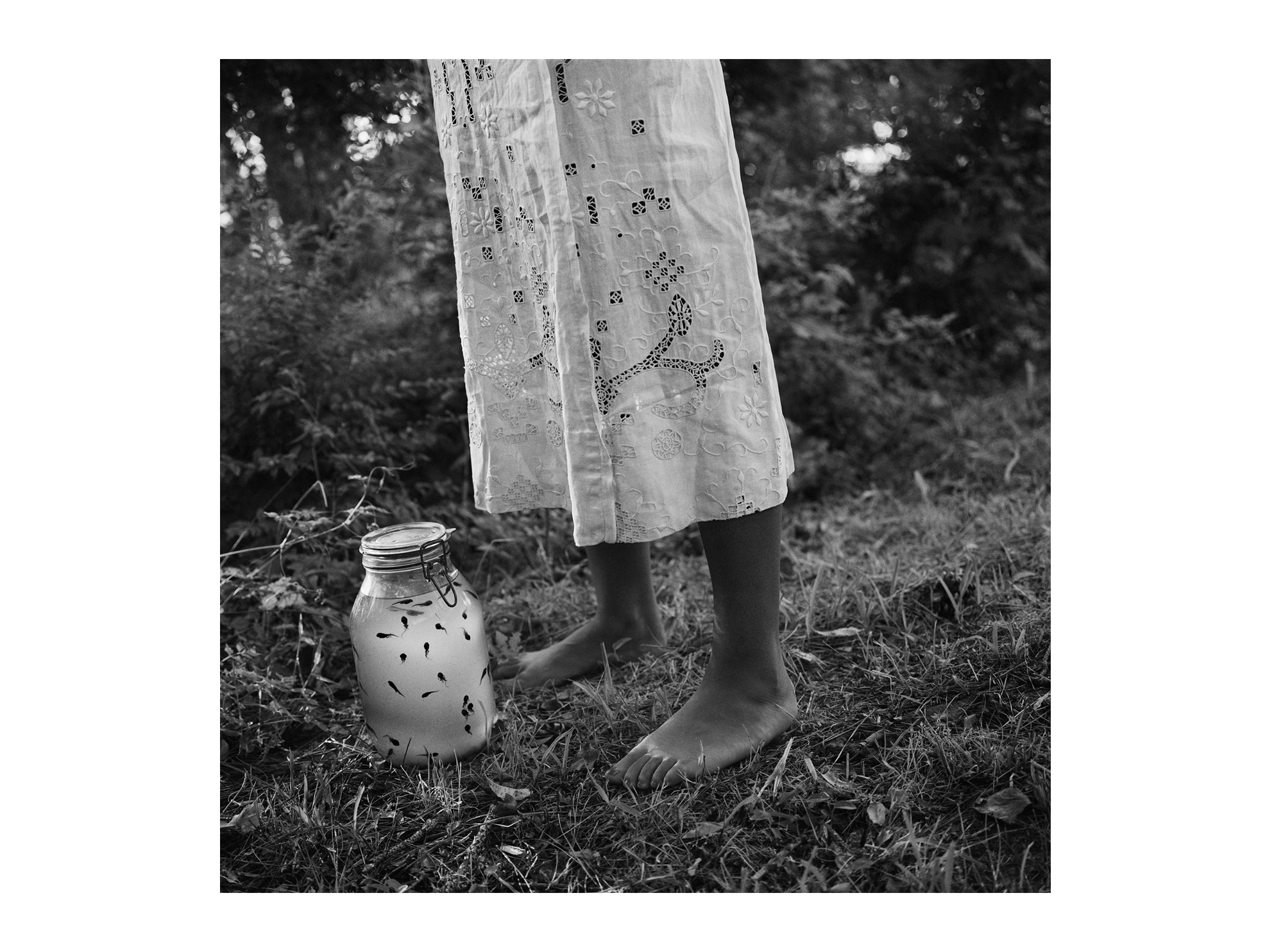    Septima with Tadpoles  , 1993. 