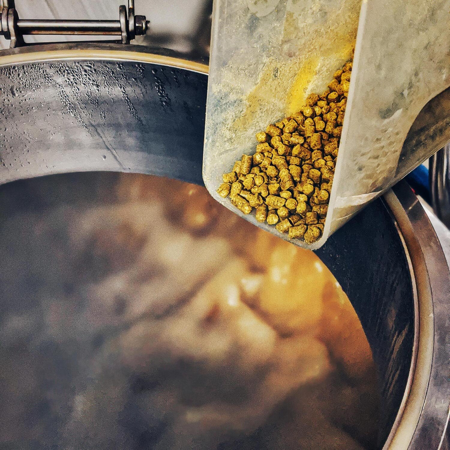 Findlay-Brewing-Hops.jpg