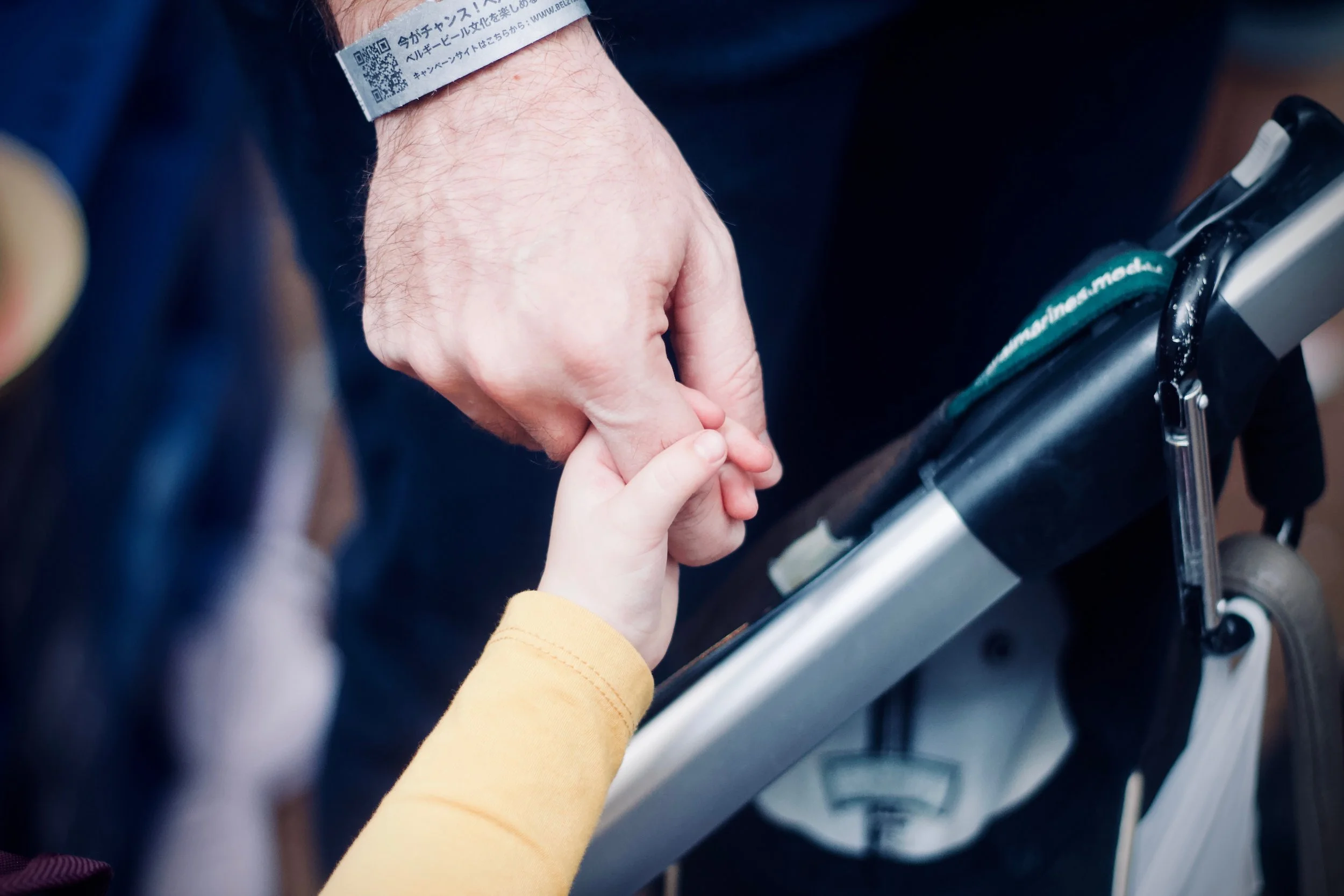 Anatomy of Developmental Parenting (FA Retro)