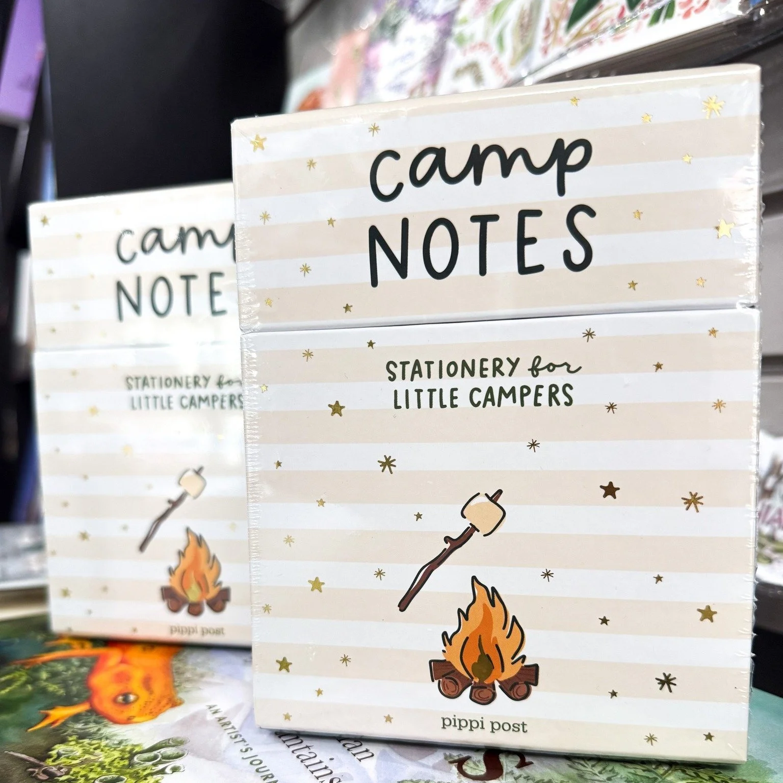 Stay connected with your little camper this summer ⛺📬

This boxed set includes:
✏ 25 fold over stationery cards
✏ 25 matching envelope stickers