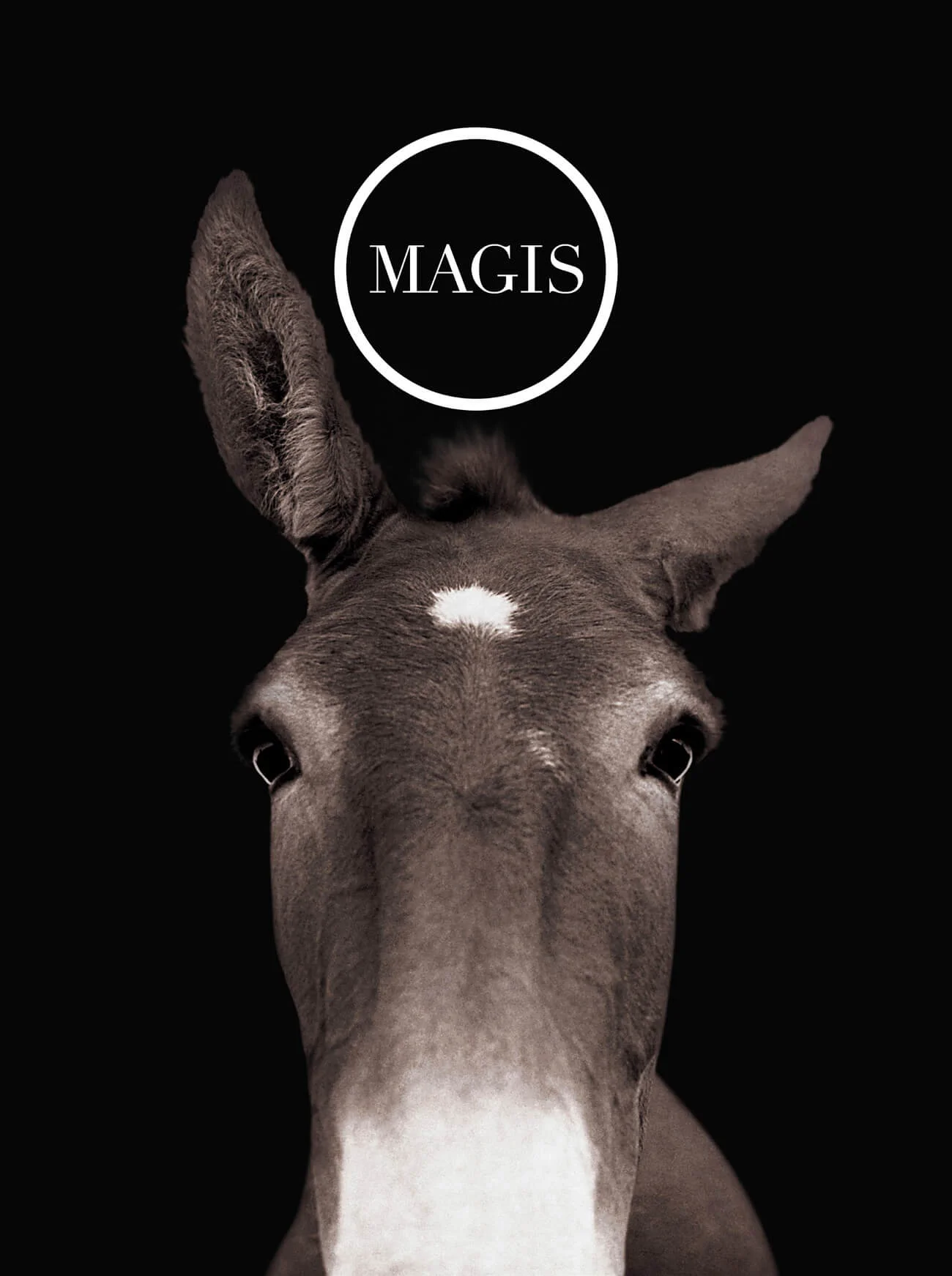 Magis
