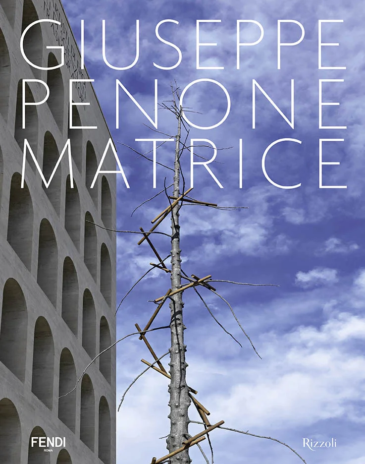 Giuseppe Penone, Matrice