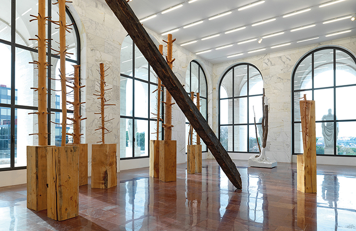 PENONE_66-67.jpg