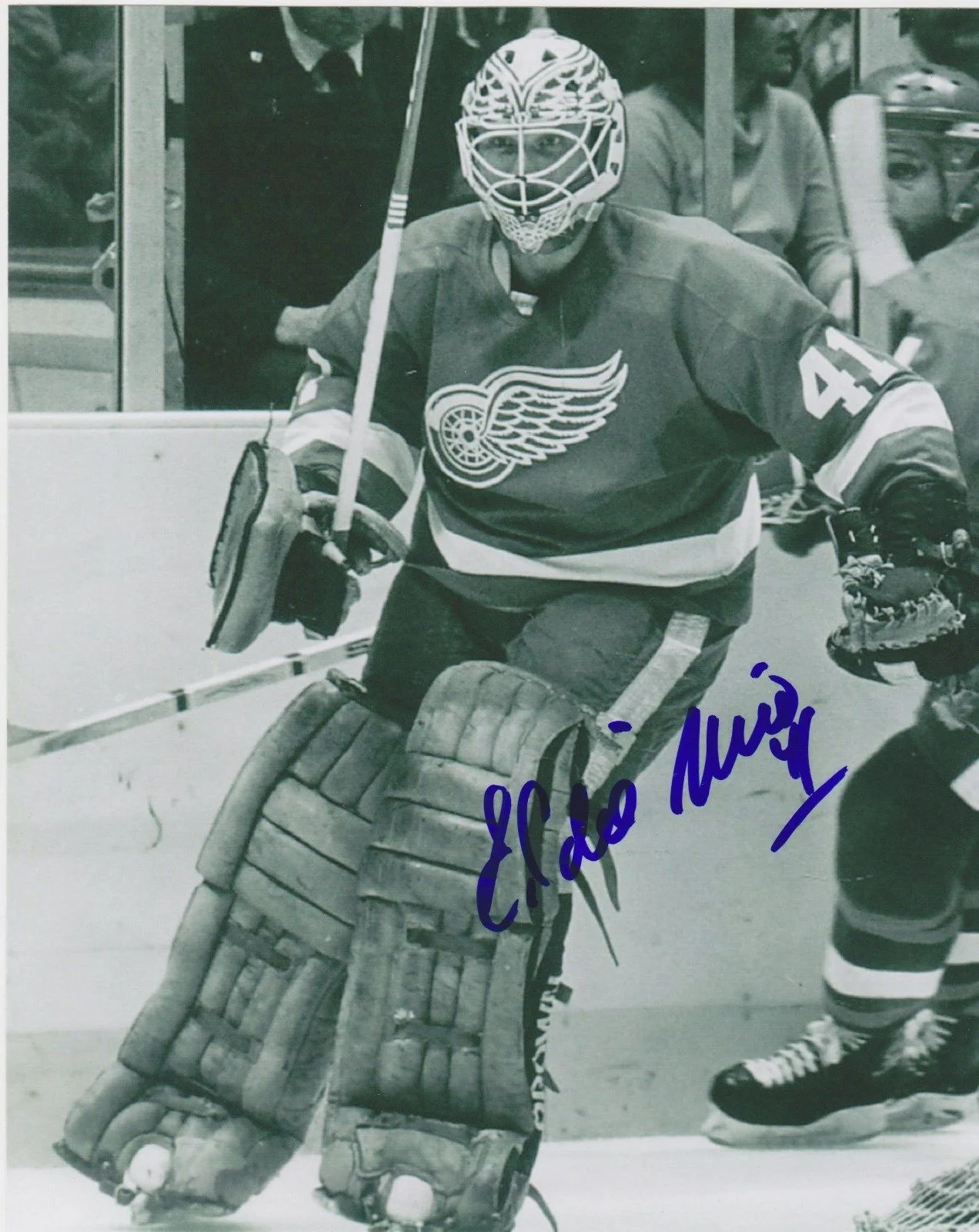 red wings black and white.JPG