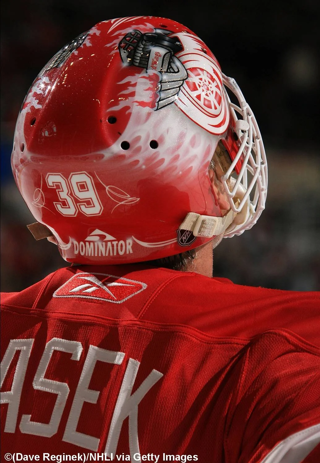 DET-Hasek-Back.jpg