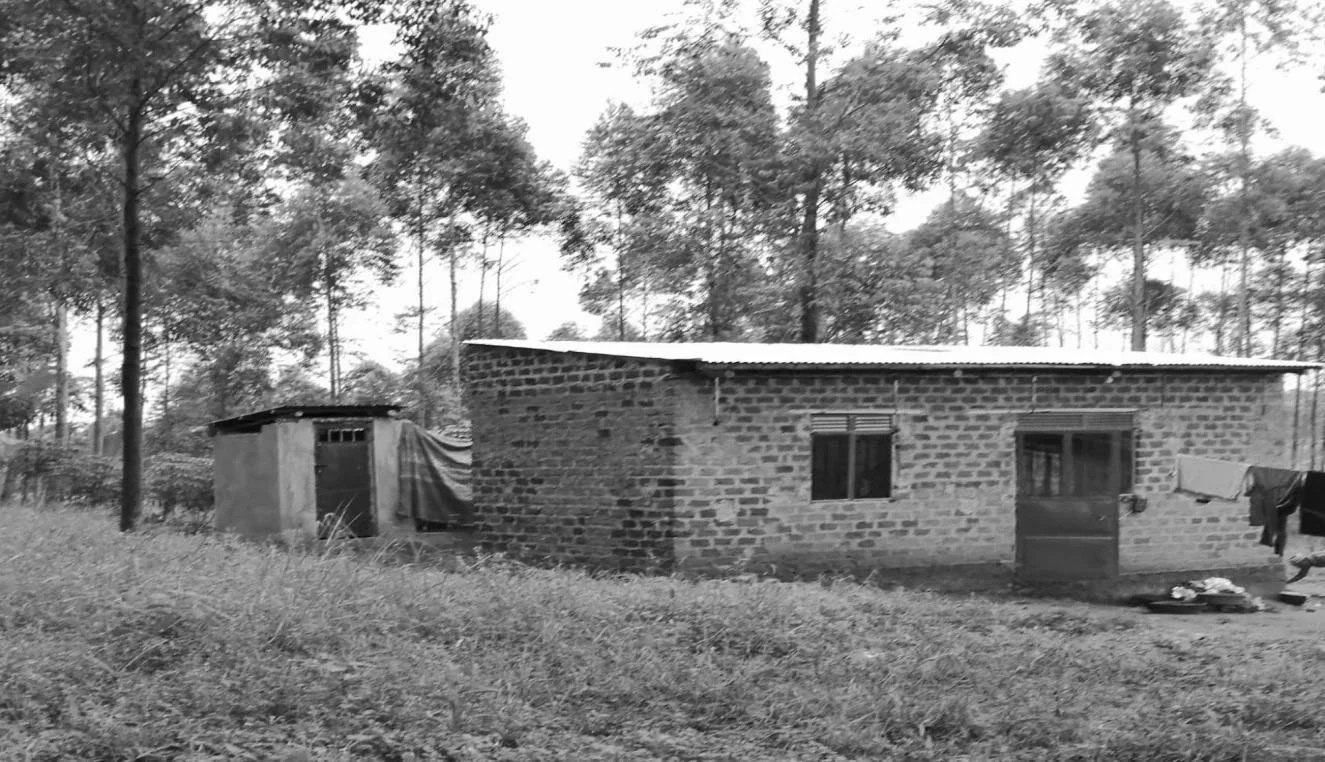 Nsimbe - before.jpg