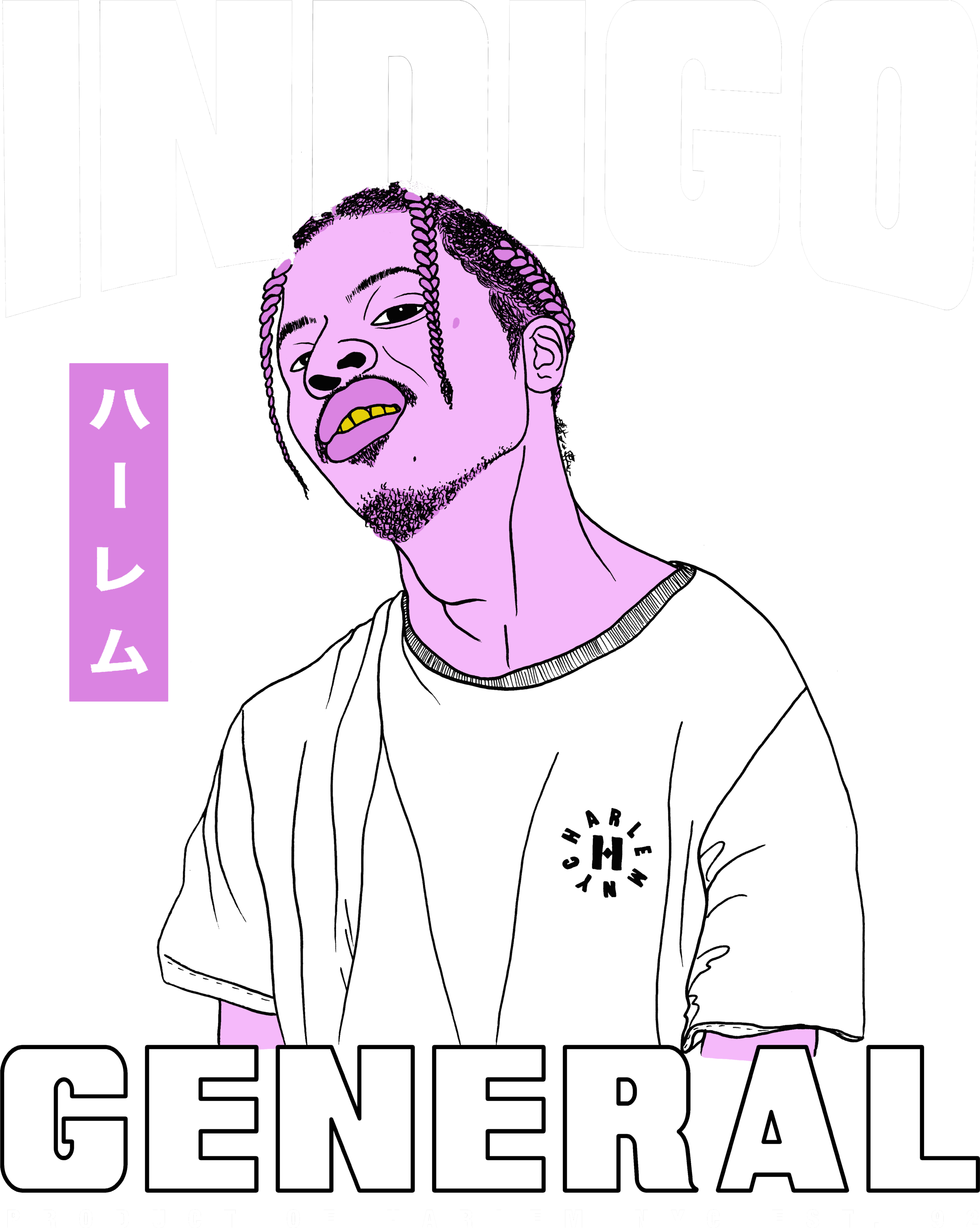 INDIGO-GENERAL-ARRRT.png