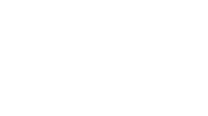 White Logo.png