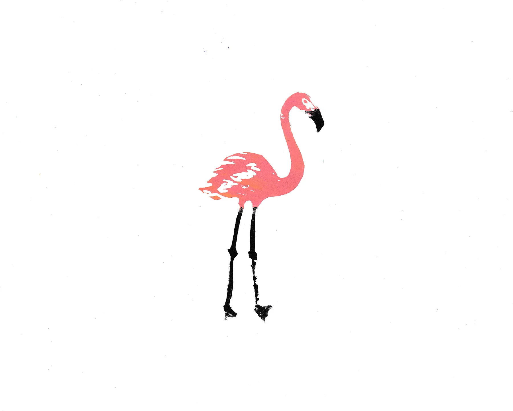 flamingo_liselot.jpg